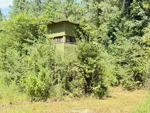 Storey Parkman, Oak Vale, MS 39656 photo 28