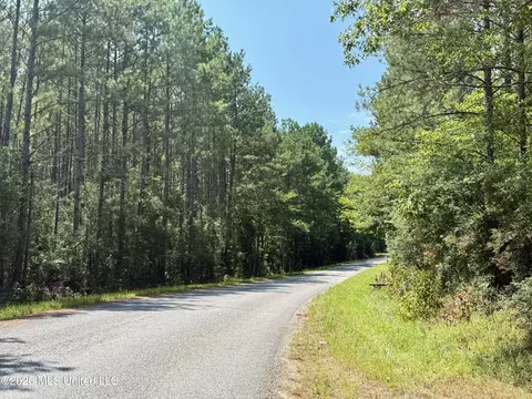 Storey Parkman, Oak Vale, MS 39656 photo 34