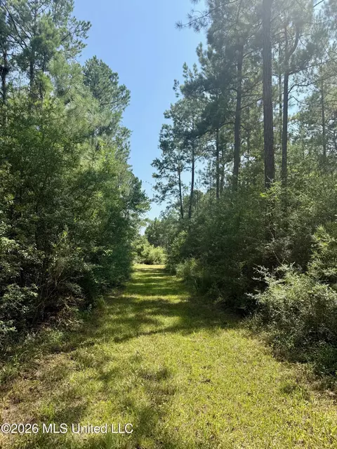 Storey Parkman, Oak Vale, MS 39656 photo 30