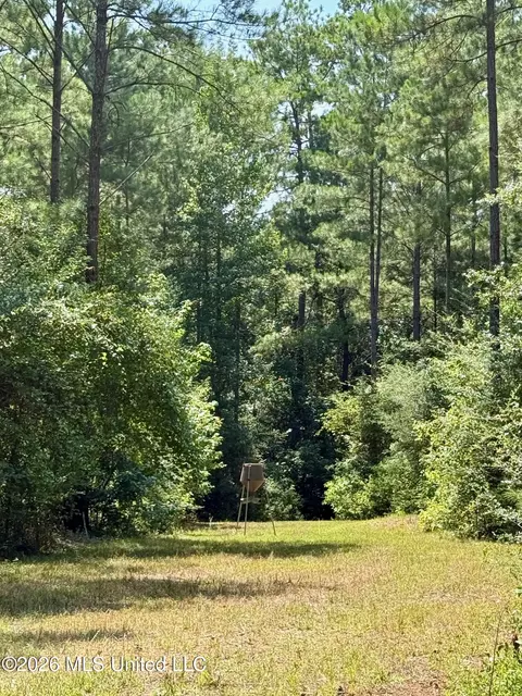 Storey Parkman, Oak Vale, MS 39656 photo 13