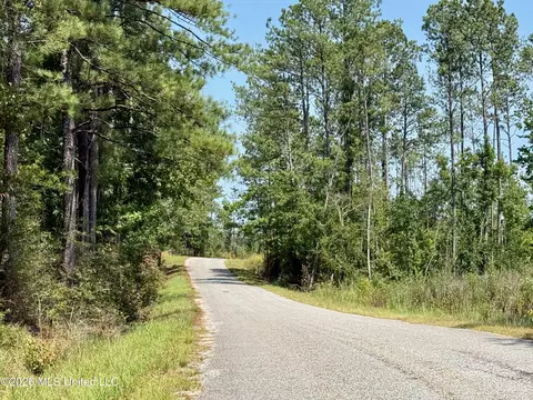 Storey Parkman, Oak Vale, MS 39656 photo 33