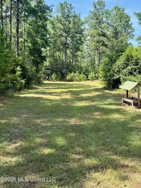 Storey Parkman, Oak Vale, MS 39656 photo 9