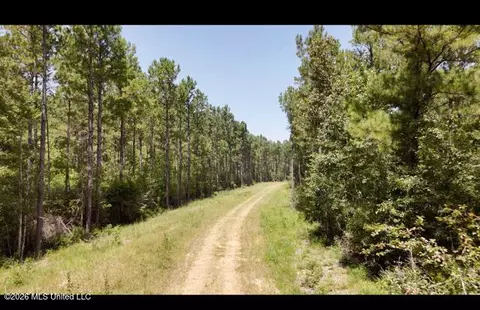 Storey Parkman, Oak Vale, MS 39656 photo 2