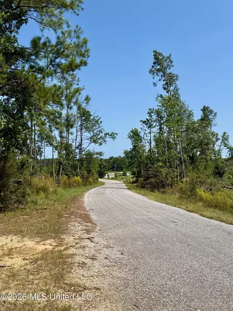 Storey Parkman, Oak Vale, MS 39656 photo 35