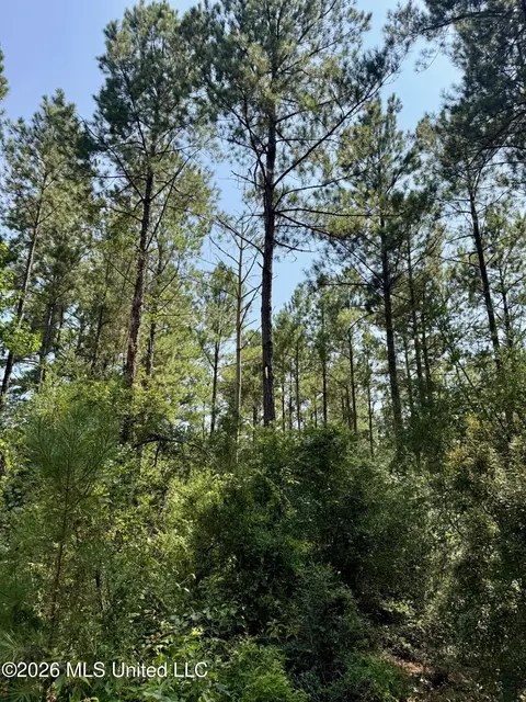 Storey Parkman, Oak Vale, MS 39656 photo 19