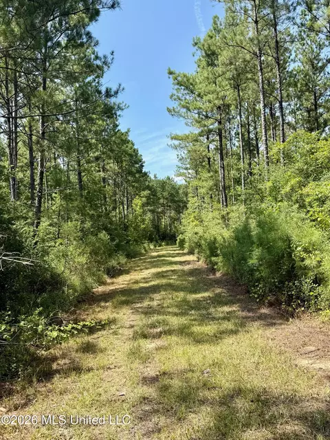 Storey Parkman, Oak Vale, MS 39656 photo 8