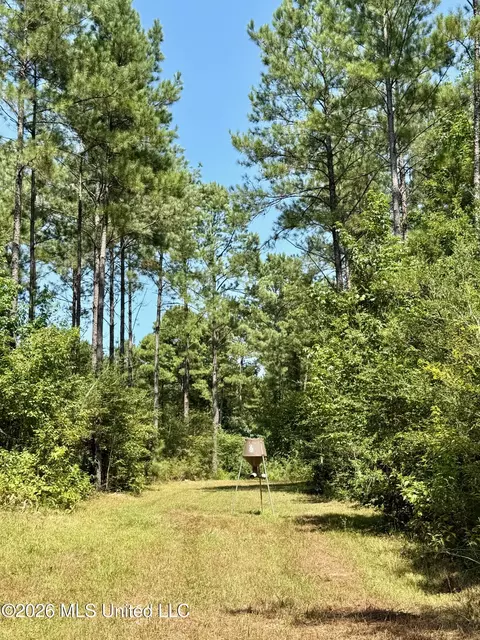 Storey Parkman, Oak Vale, MS 39656 photo 14