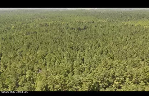 Storey Parkman, Oak Vale, MS 39656 photo 24