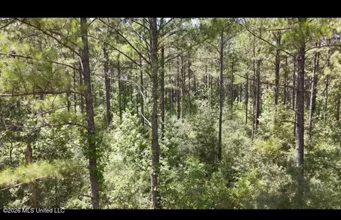 Storey Parkman, Oak Vale, MS 39656 photo 23