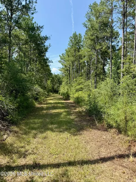 Storey Parkman, Oak Vale, MS 39656 photo 15