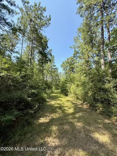 Storey Parkman, Oak Vale, MS 39656 photo 20