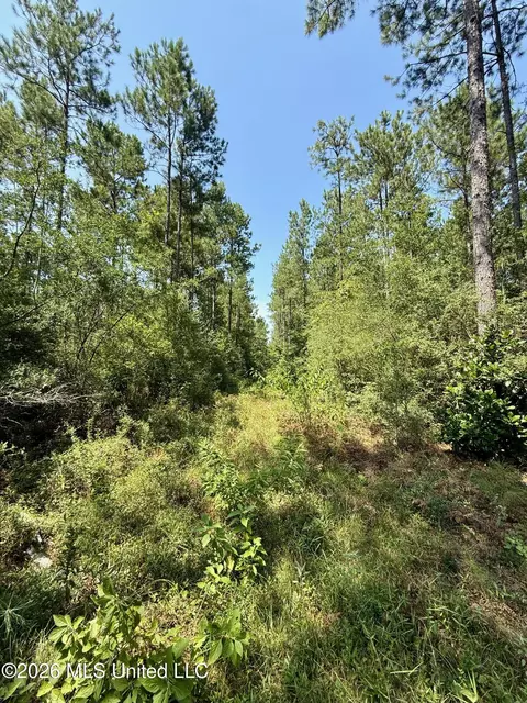 Storey Parkman, Oak Vale, MS 39656 photo 32