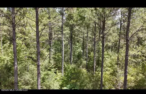 Storey Parkman, Oak Vale, MS 39656 photo 21
