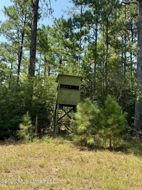 Storey Parkman, Oak Vale, MS 39656 photo 10