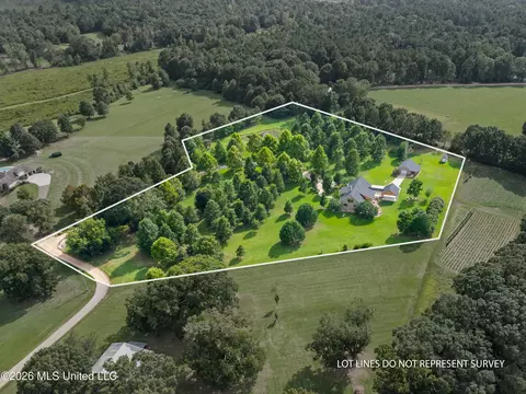 View/Area - 7912 Us 98 # -A, Summit, MS 39666 photo 1 of 4