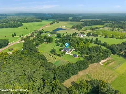 View/Area - 7912 Us 98 # -A, Summit, MS 39666 photo 3 of 4