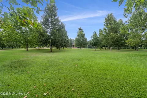 Exterior - 7912 Us 98 # -A, Summit, MS 39666 photo 15 of 17