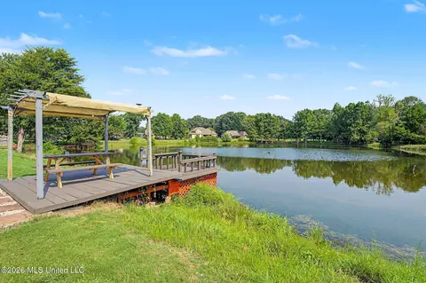 Exterior - 3169 Bridge Moore Dr, Nesbit, MS 38651 photo 9 of 10