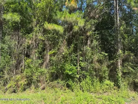 000 Schrader Ct, Saucier, MS 39574 photo 3