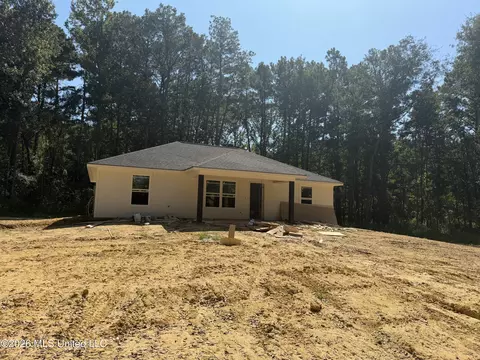 Other - 4241 Morton-rankin County Line Rd, Morton, MS 39117 photo 3 of 15