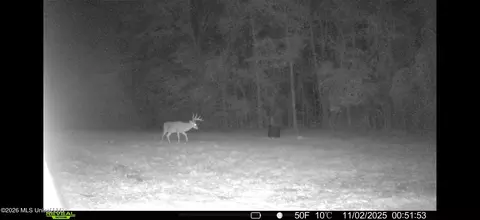 Other - 4241 Morton-rankin County Line Rd, Morton, MS 39117 photo 14 of 16