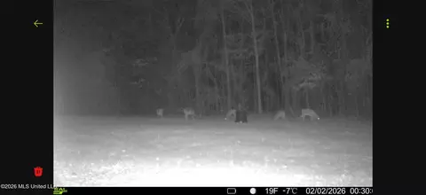 Other - 4241 Morton-rankin County Line Rd, Morton, MS 39117 photo 13 of 16