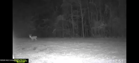 Other - 4241 Morton-rankin County Line Rd, Morton, MS 39117 photo 3 of 16