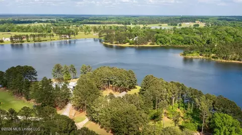 View/Area - 130 Pine Lake Cv, Flora, MS 39071 photo 6 of 6