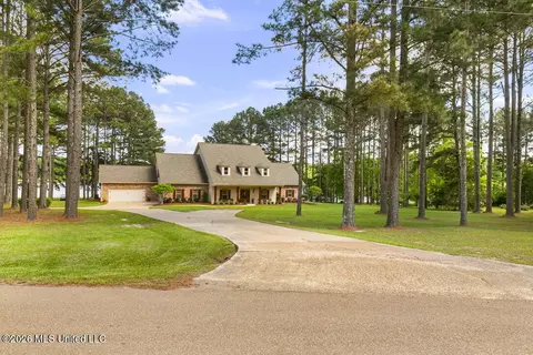 Exterior - 130 Pine Lake Cv, Flora, MS 39071 photo 10 of 10