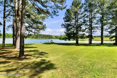View/Area - 130 Pine Lake Cv, Flora, MS 39071 photo 3 of 6