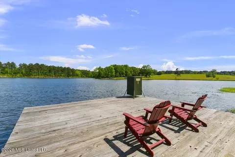 View/Area - 130 Pine Lake Cv, Flora, MS 39071 photo 1 of 6