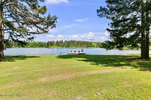 View/Area - 130 Pine Lake Cv, Flora, MS 39071 photo 2 of 6