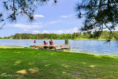 View/Area - 130 Pine Lake Cv, Flora, MS 39071 photo 4 of 6