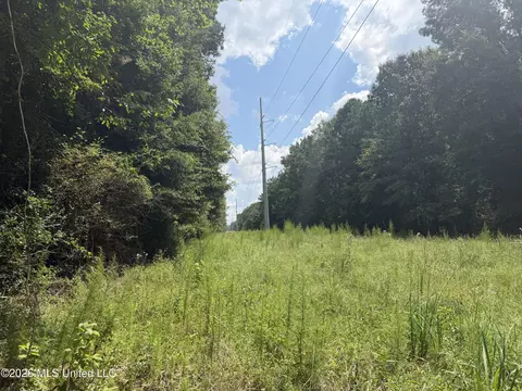 Other - 4241 Morton-rankin County Line Rd #B, Morton, MS 39117 photo 45 of 48