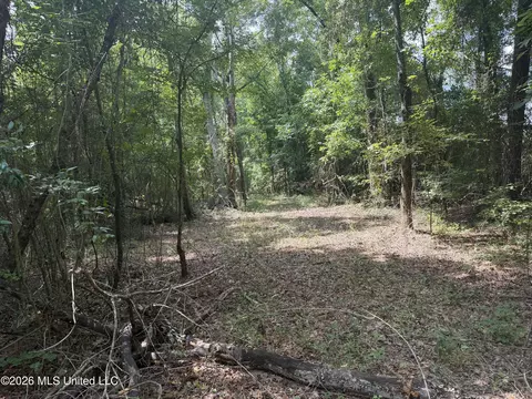 Other - 4241 Morton-rankin County Line Rd #B, Morton, MS 39117 photo 43 of 48