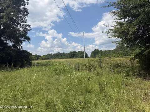 Other - 4241 Morton-rankin County Line Rd #B, Morton, MS 39117 photo 42 of 48