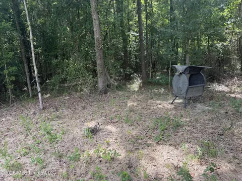 Other - 4241 Morton-rankin County Line Rd #B, Morton, MS 39117 photo 10 of 48
