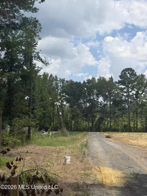 Other - 4241 Morton-rankin County Line Rd #B, Morton, MS 39117 photo 39 of 48