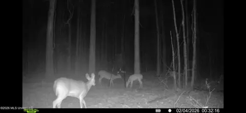 Other - 4241 Morton-rankin County Line Rd #B, Morton, MS 39117 photo 46 of 48