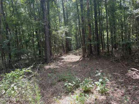 Other - 4241 Morton-rankin County Line Rd #B, Morton, MS 39117 photo 44 of 48