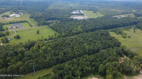 Other - 4241 Morton-rankin County Line Rd #B, Morton, MS 39117 photo 25 of 48