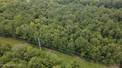 Other - 4241 Morton-rankin County Line Rd #B, Morton, MS 39117 photo 9 of 48