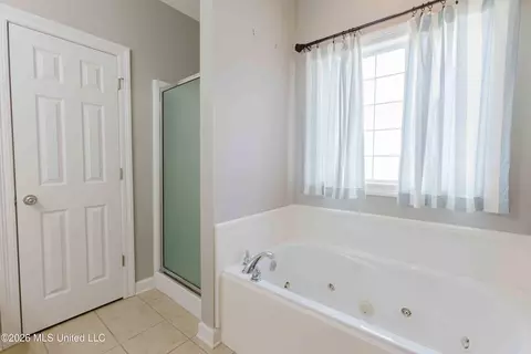 Bath - 120 Susan Ln, Brandon, MS 39042 photo 1 of 2