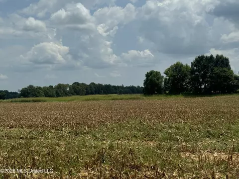Finney Road, Canton, MS 39046 photo 6