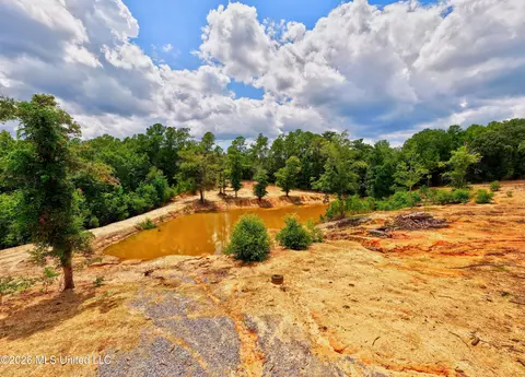View/Area - 13163 Us-98, Lucedale, MS 39452 photo 1 of 12