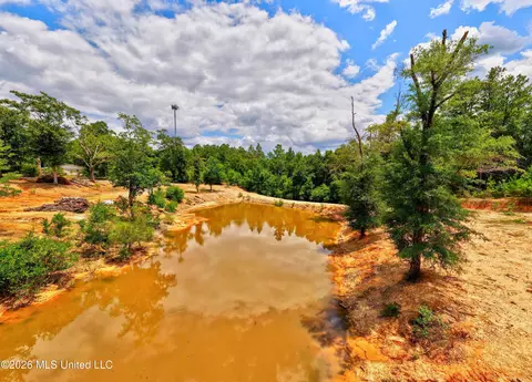 View/Area - 13163 Us-98, Lucedale, MS 39452 photo 3 of 12