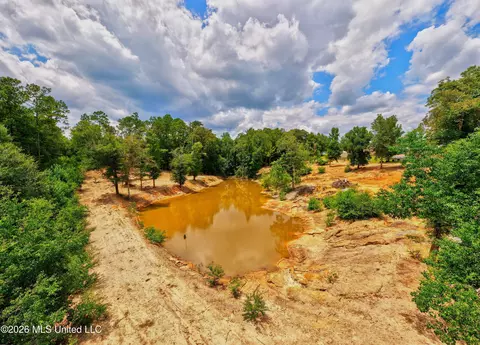 View/Area - 13163 Us-98, Lucedale, MS 39452 photo 2 of 12