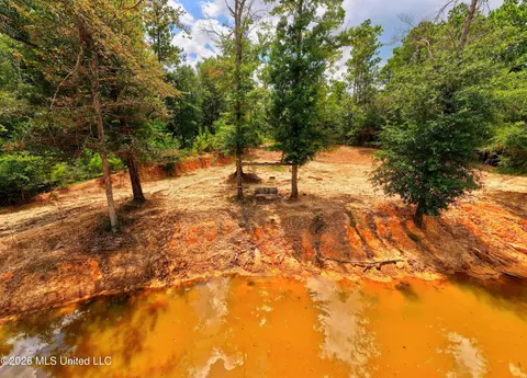 View/Area - 13163 Us-98, Lucedale, MS 39452 photo 6 of 12