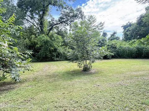 Exterior - 406 S Washington St, Brookhaven, MS 39601 photo 5 of 6