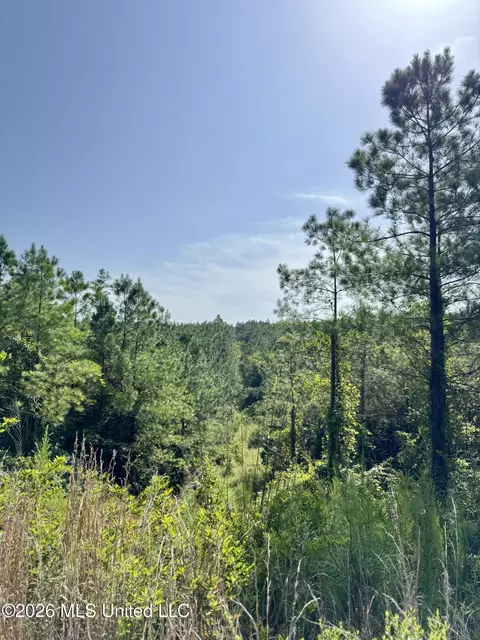 Seymour Road, Kilmichael, MS 39747 photo 11
